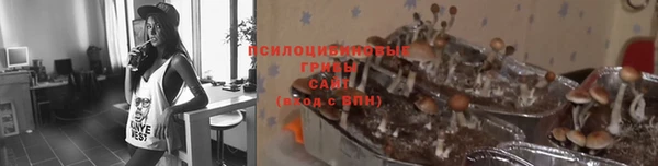 ГАЛЛЮЦИНОГЕННЫЕ ГРИБЫ Верхний Тагил