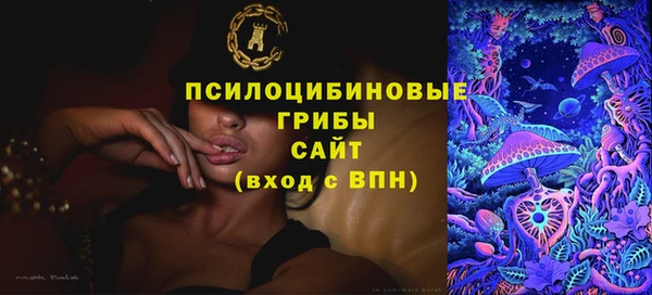 ГАЛЛЮЦИНОГЕННЫЕ ГРИБЫ Верхний Тагил