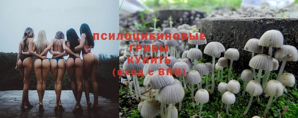 ГАЛЛЮЦИНОГЕННЫЕ ГРИБЫ Верхний Тагил