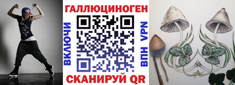 Галлюциногенные грибы GOLDEN TEACHER  Купить где  Карабаш 